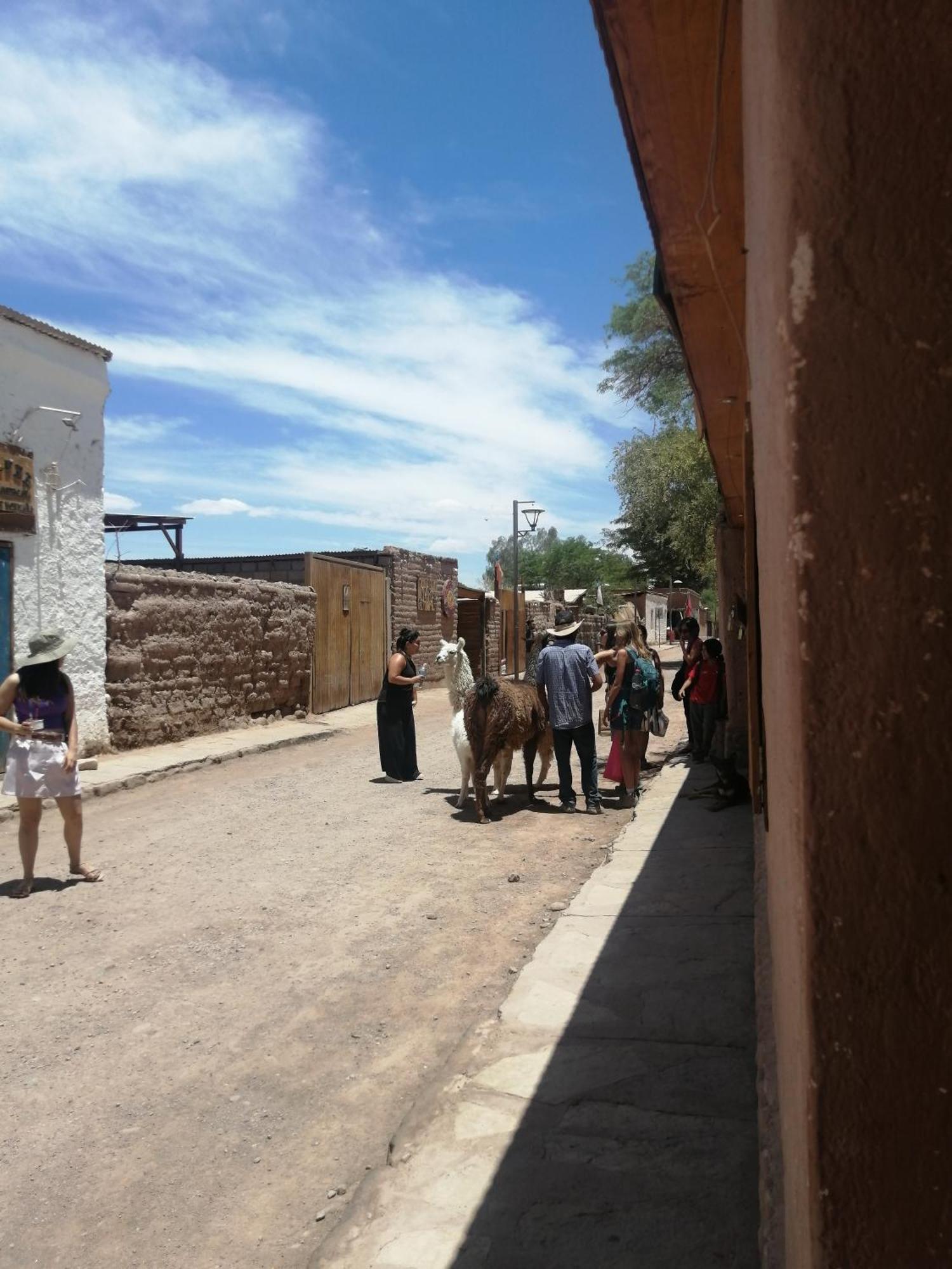 Viajes & Vida Km0 Apartman San Pedro de Atacama Kültér fotó